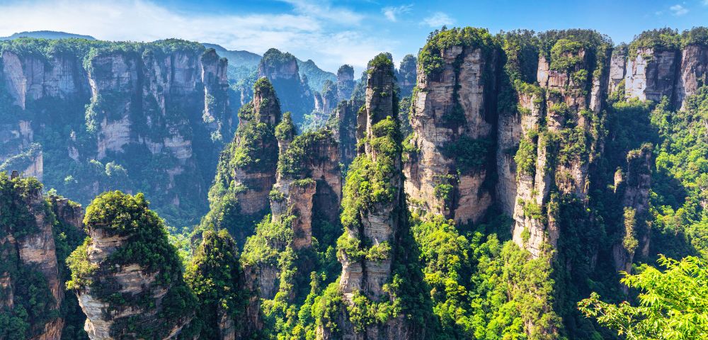 Panoramic view of a dense forest covering numerous tall, narrow sandstone pillars, under a bright blue sky with scattered white clouds.