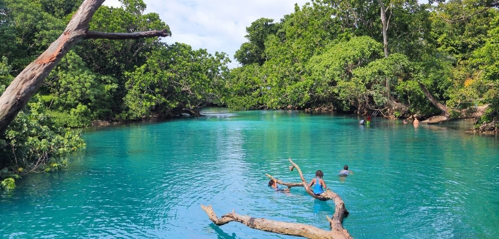 A swimmer sits on a fallen branch in a vivid turquoise forest lagoon, with another swimmer nearby and dense green trees creating a serene setting.