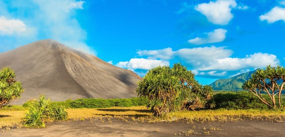 A rugged brown mountain rises behind a sunlit plain dotted with green shrubs and trees, beneath a vivid blue, cloud-filled sky; the scene feels tranquil and wild.
