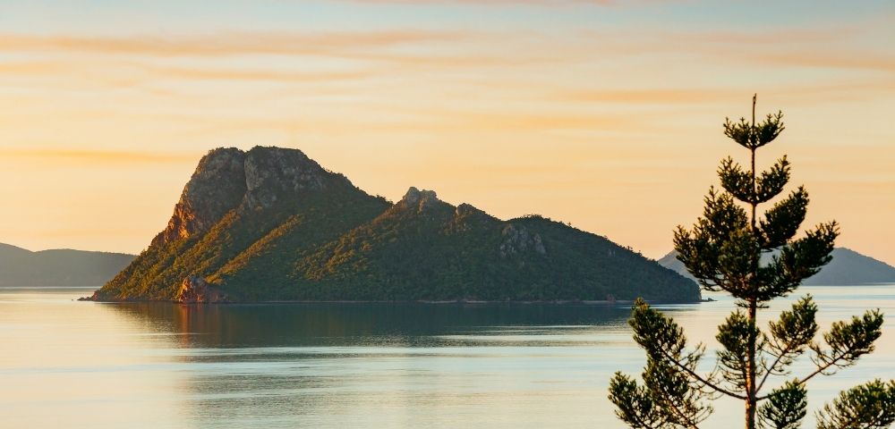 A pine tree frames a rugged, forested island reflected in calm water at sunset, beneath a pastel orange and blue sky; the scene feels peaceful.