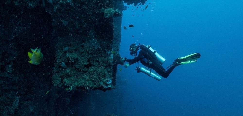 A scuba diver with a tank and green fins explores a dark, algae-covered shipwreck wall in clear blue water as a small yellow fish swims nearby, creating a calm, mysterious mood.