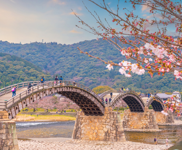 20 Day South Korea & Japan Discovery Tour - Gallery Image