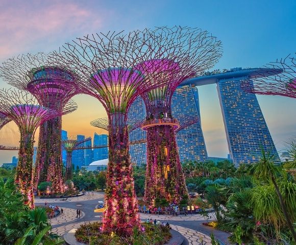 Illuminated Supertrees with purple and pink lights, covered in vegetation, stand in the foreground with the distinctive Marina Bay Sands hotel in the background under a dusky sky.