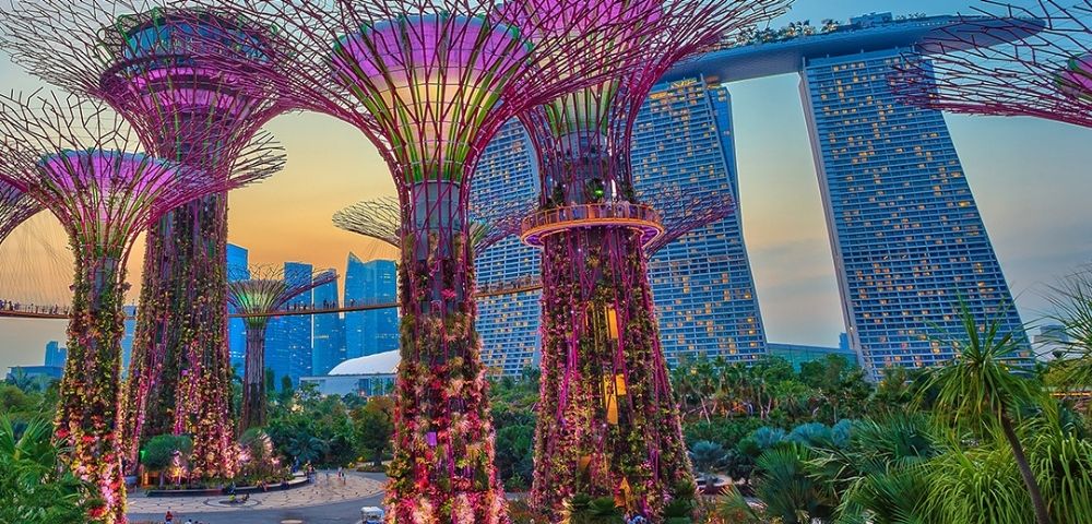 Illuminated Supertrees with purple and pink lights, covered in vegetation, stand in the foreground with the distinctive Marina Bay Sands hotel in the background under a dusky sky.
