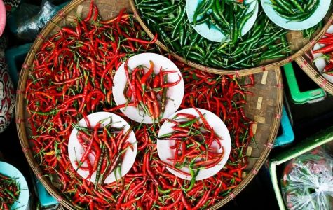 A woman in a hat holds a colorful bowl of fresh peppers, smiling as she showcases her vibrant harvest.