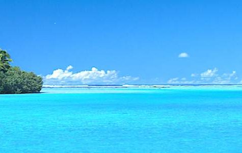 A serene turquoise lagoon bordered by lush green palm trees under a clear blue sky, ideal for relaxation and natural beauty.