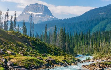 Mountain landscape with a clear blue river flowing through a lush green forest. Snow-capped peak rises in the background under a clear sky. Tranquil and majestic.