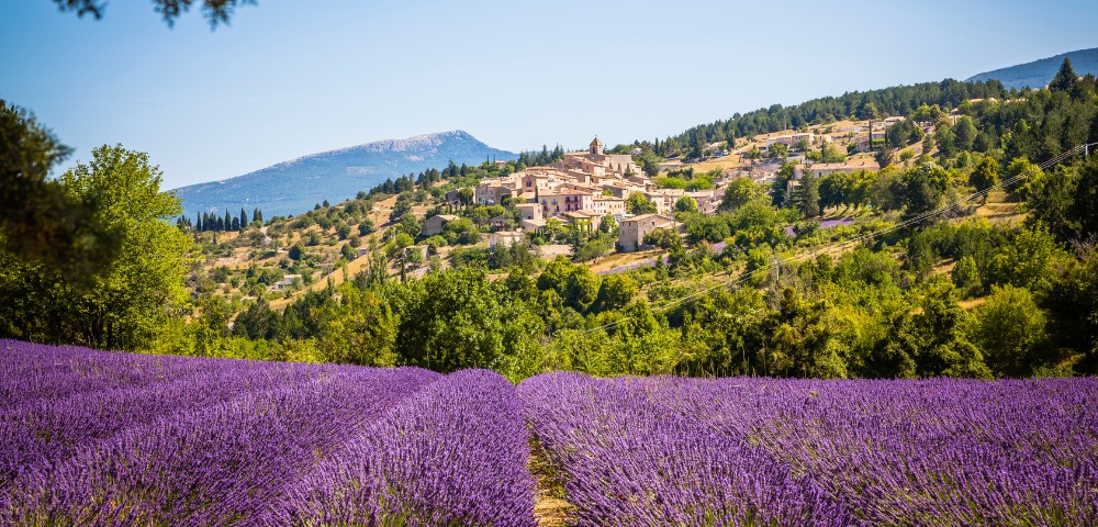 Vibrant lavender fields stretch across the foreground, leading to a quaint hillside village nestled among lush greenery, with mountains in the background.
