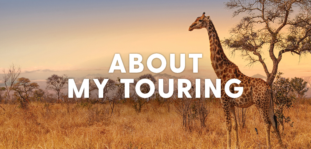 Giraffe standing in a dry savanna at sunset with scattered trees, overlaid with the text 