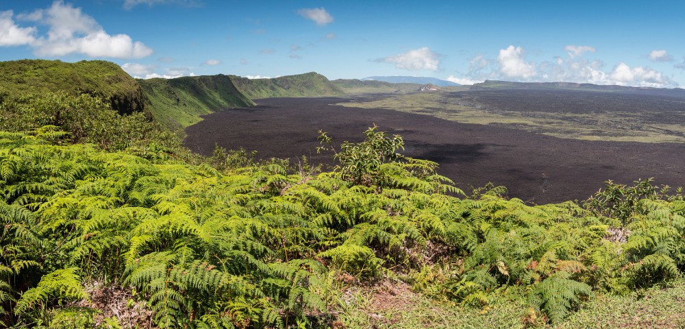 Lush green ferns in foreground overlooking a vast dark lava field surrounded by green hills under a blue sky with scattered clouds.