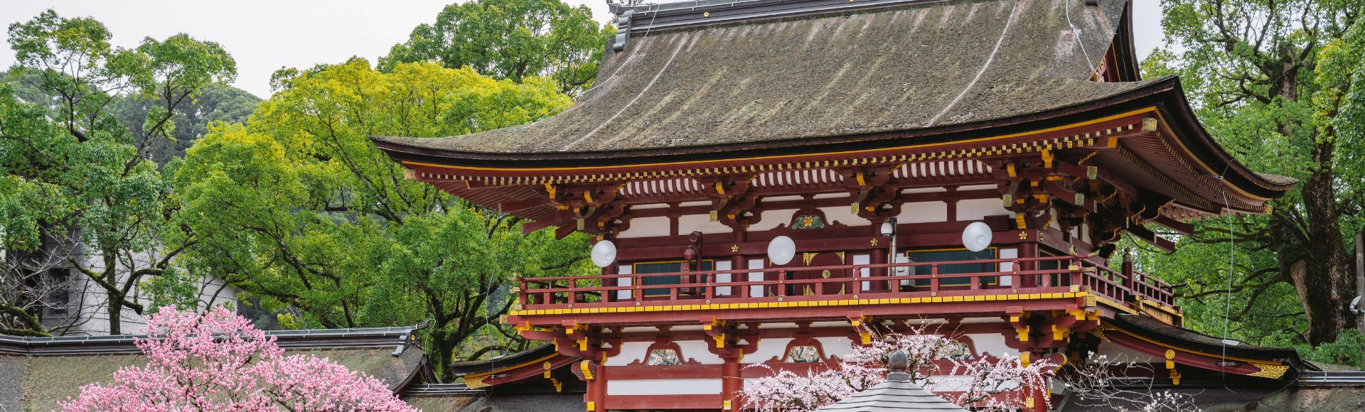 Kyushu Tourism Campaign Banner Image