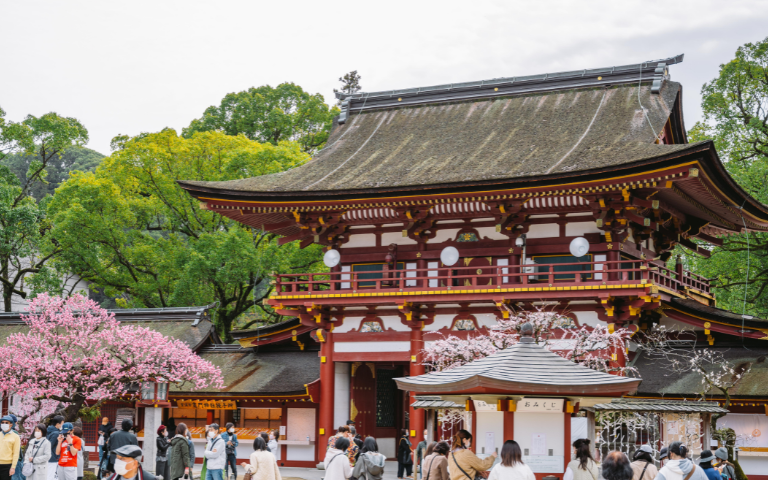 Kyushu Tourism Campaign Banner Image