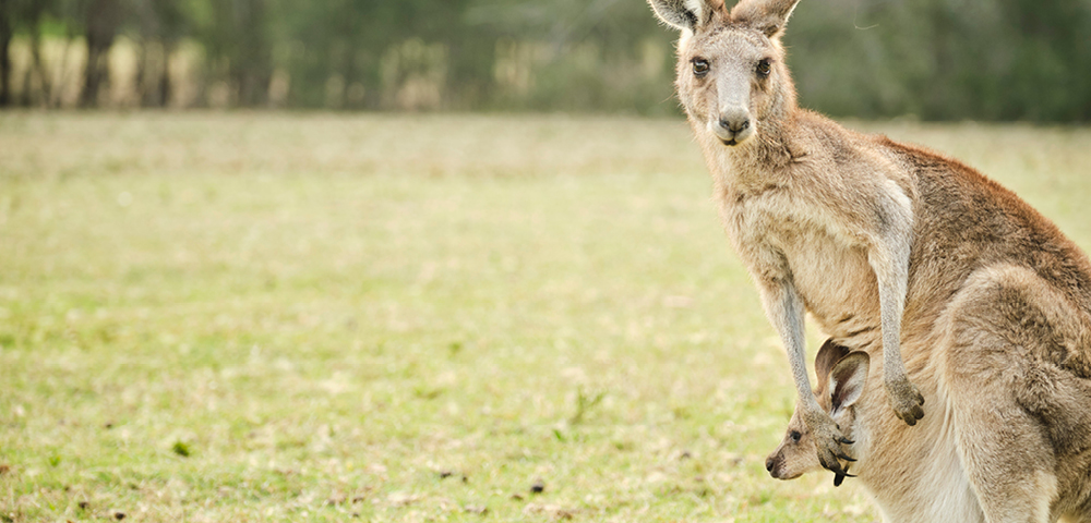 Fremantle to Melbourne - Gallery Image