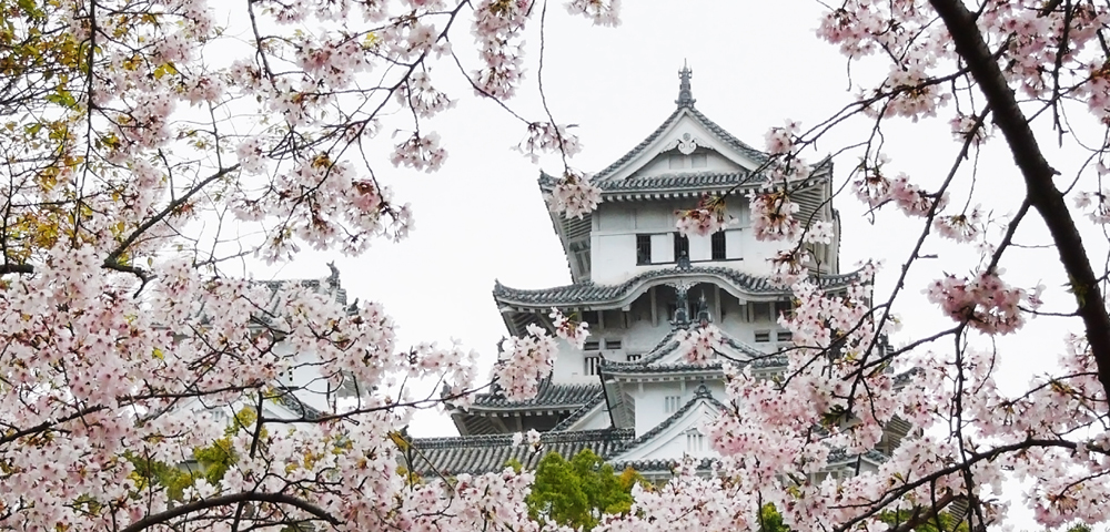 Tokyo to Tokyo - Gallery Image