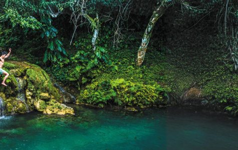 Two people joyfully leap off a rock into a clear, turquoise pool surrounded by lush greenery and trees, evoking a sense of adventure and freedom.