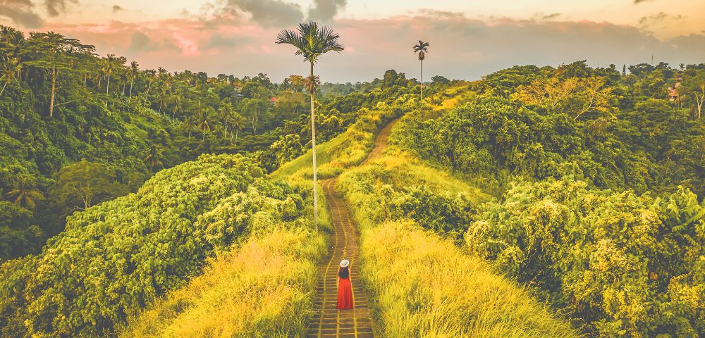 A lone person in a red dress and white hat walks along a winding path through lush, green hills at sunrise, exuding tranquility and adventure.