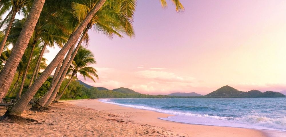Tropical beach at sunset with leaning palm trees, golden sand, and gentle waves; mountains in the distance under a pink sky, creating a serene atmosphere.