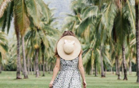 A woman in a floral dress and straw hat strolls through a serene palm tree grove. The lush greenery and distant mountains create a tranquil, tropical vibe.