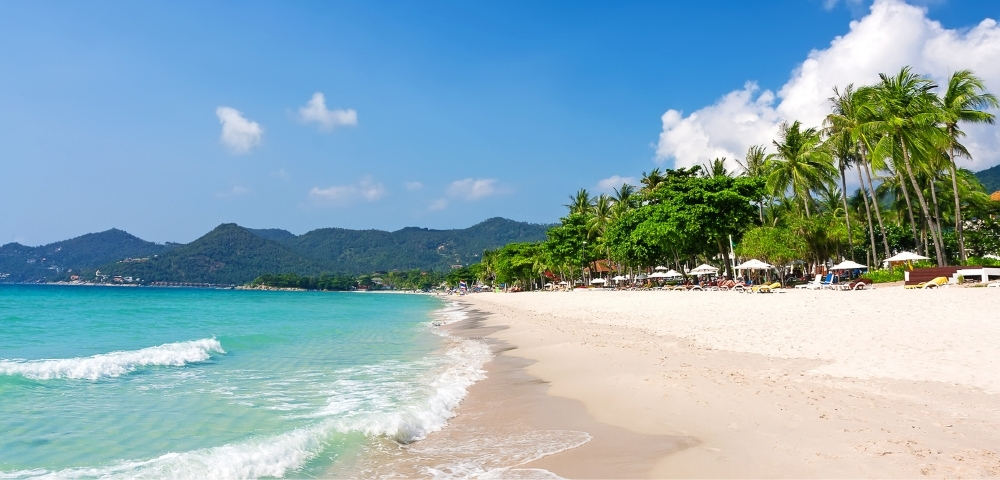 Tropical beach scene with turquoise waves lapping a sandy shore, lined with palm trees and sun loungers under umbrellas. Clear blue sky and distant hills.