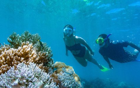 Two snorkelers swim near vibrant coral reefs in clear blue water. They wear masks and fins, exuding a sense of exploration and adventure.