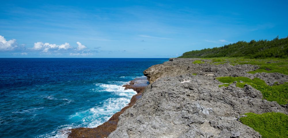 Rocky coastal cliff with vibrant green vegetation, contrasting against the deep blue ocean and clear sky, conveying a sense of serenity and natural beauty.