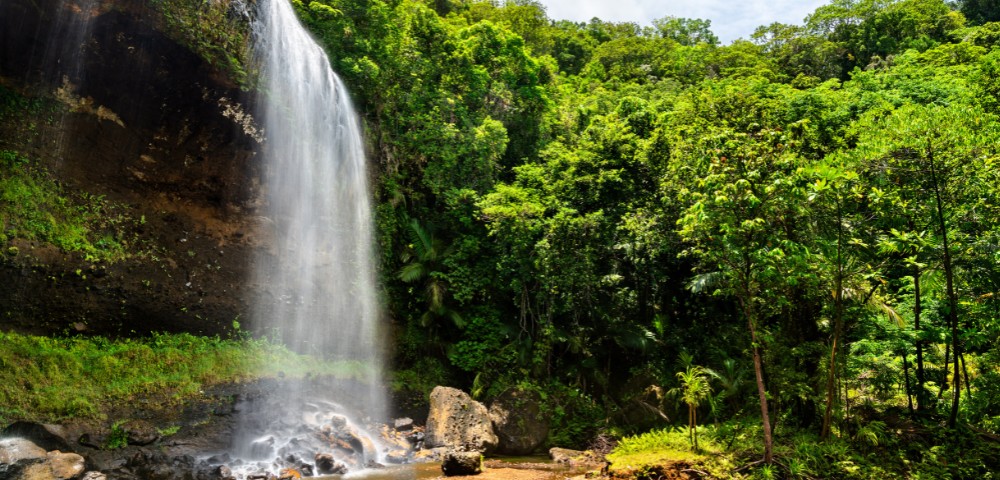 A serene waterfall cascades over a rocky cliff into a pond surrounded by lush, green foliage. Sunlight filters through, creating a tranquil scene.