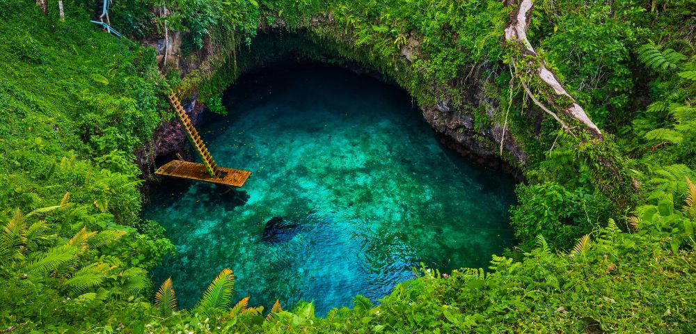 Lush green vegetation surrounds a deep, clear blue sinkhole. A wooden ladder descends into the water, evoking a sense of adventure and tranquility.