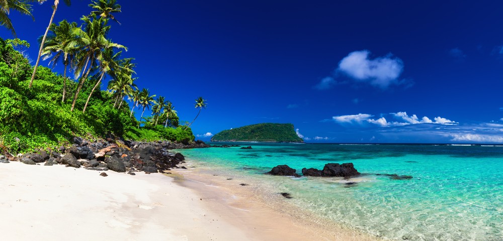 A pristine tropical beach with white sand, lined by lush palm trees on the left. Vibrant turquoise water and a distant green island under a clear blue sky.