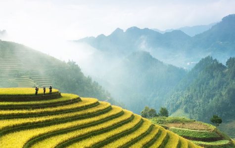 Panoramic view of golden terraced rice fields on a misty mountainside, with three figures standing on a prominent terrace.