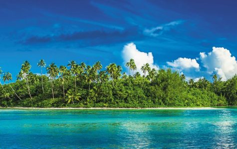 A vibrant panorama of a tropical island with lush green foliage, including many palm trees, extending across a white sandy beach, all bordered by the clear, turquoise waters of the ocean under a bright blue sky dotted with white fluffy clouds.