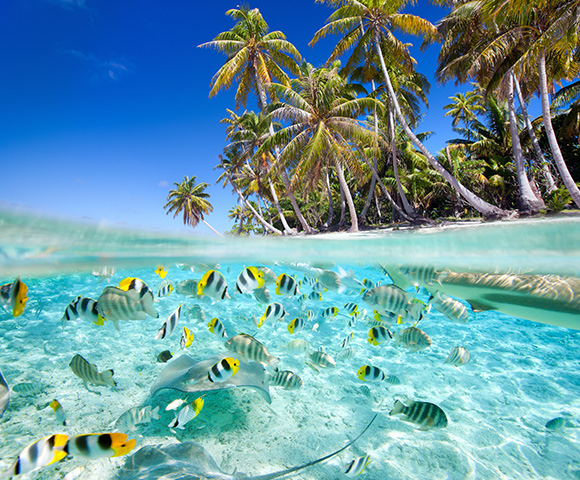 Tahiti & Hawaii Adventure onboard Quantum in 2022 Image 1