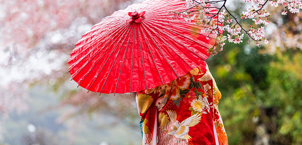 Japan’s Cherry Blossoms in 2023 Main Image