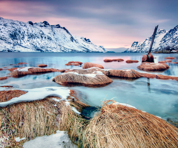 Northern Lights Discovery Image 2