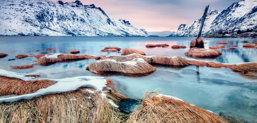 Chase the Northern Lights with Princess in 2022 Image 1