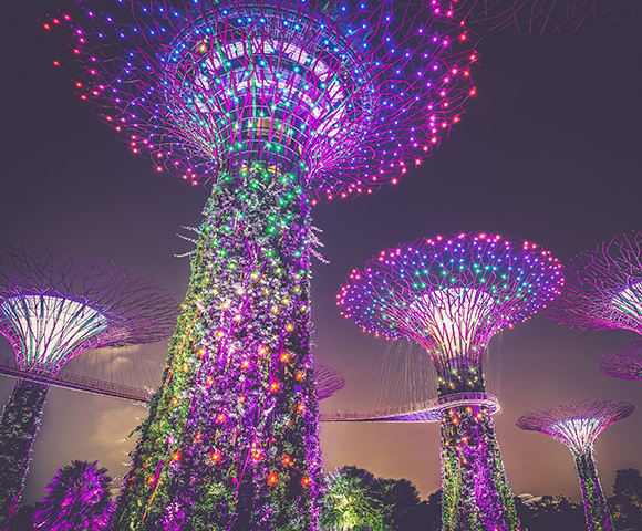 Singapore, Indonesia & Cairns Explorer Image 1