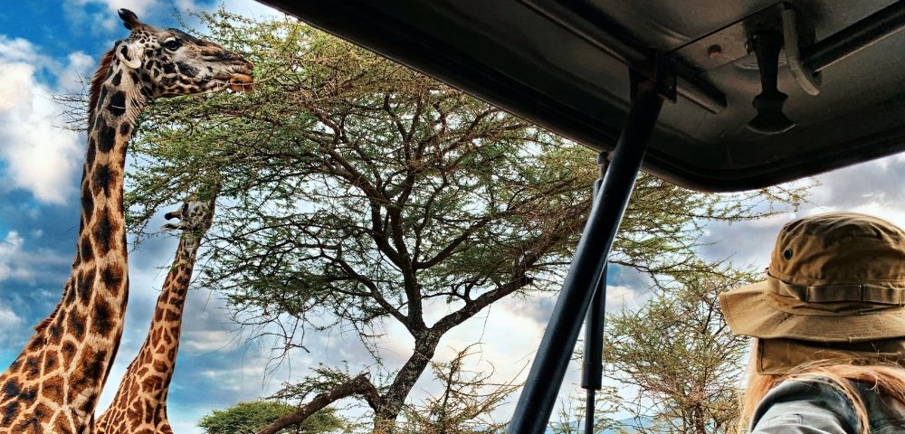 African Safari & Grand Voyage to Venice in 2022 Image 1