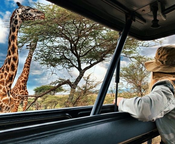 African Safari & Grand Voyage to Venice in 2022 Image 1